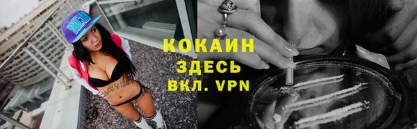 альфа пвп Медвежьегорск
