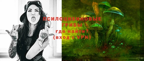 а пвп мука Медногорск