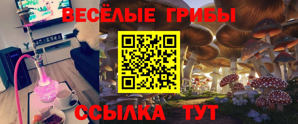 Псилоцибиновые грибы мухоморы  Галлюциногенные грибы MAGIC MUSHROOMS  Вход с VPN  Троицк 